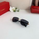 Cartier Black  Unisex Pure Titanium Eyeglasses 